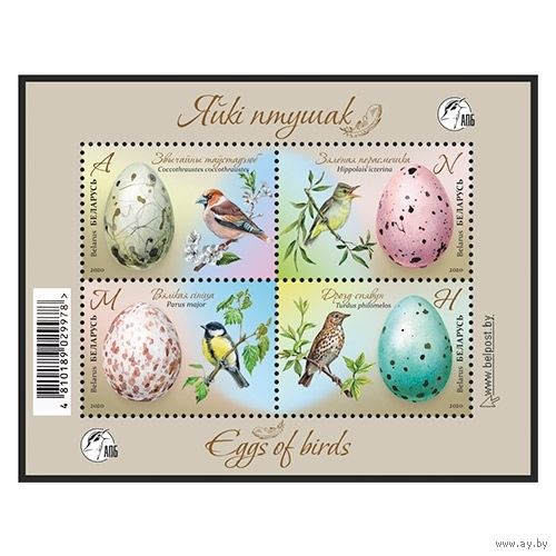 Беларусь 2020г Малый лист MNH  "Яйца птиц"