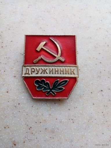 ДРУЖИННИК