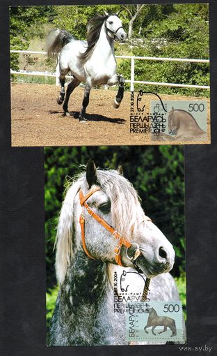 Лошади 2004 год Беларусь 2 картмаксимума