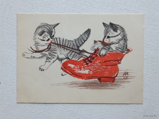 Лаптев котики 1964