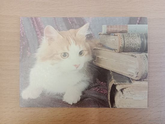 Календарик 1993