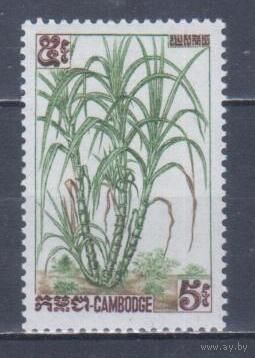 [2149] Камбоджа 1962. Флора.Сахарный тростник. MNH