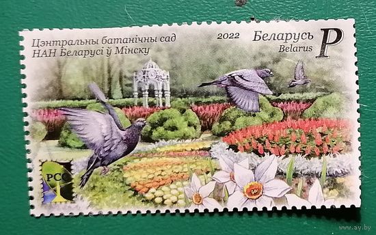 Центральный ботанический сад г. Минск