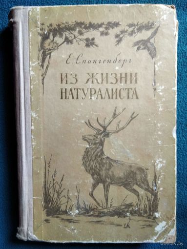 Е. Спангенберг. Из жизни натуралиста.  1953 год