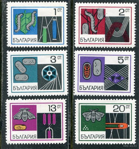 Болгария. Разведение тутового шелкопряда