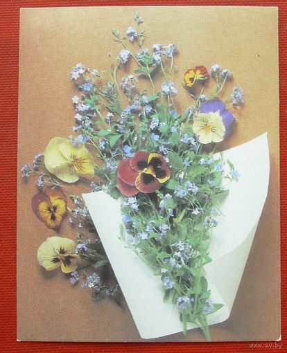 Цветы. Чистая. Мини. 1987 года. Агладзе.
