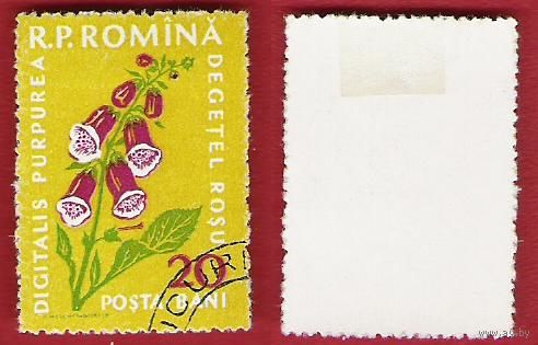 Румыния 1959 Цветы.