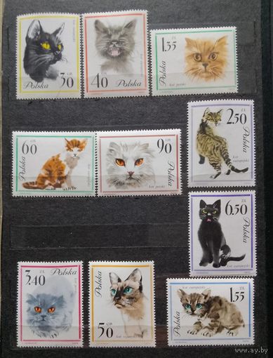 Польша;1964г. ; полная серия;Mих 1475 -84 10 марок ;Кошки; Фауна MNH OG(ma)