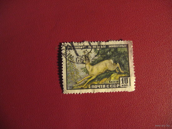 Марка Косуля 1961 год СССР