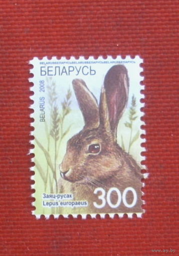 Беларусь. Стандарт. ( 1 марка ) 2008 года. 10-12.