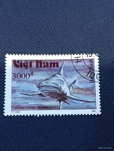 Вьетнам. 1991г. Акула