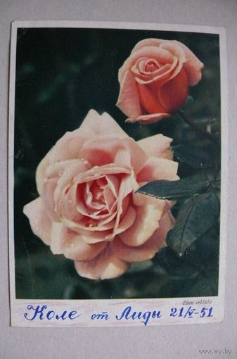 Цветы; подписана (ГДР).