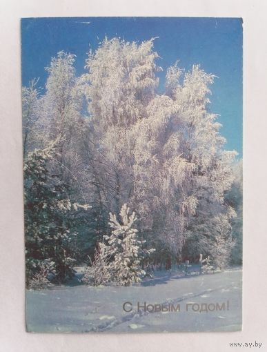 Открытка из СССР, 1990г. Подписанная.