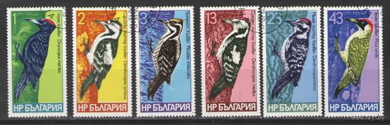 Болгария. 1978г. Птицы. Дятлы.
