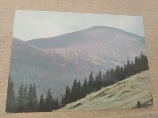 Открытка Закарпаття  Гора Говерла фото Федорова !970г