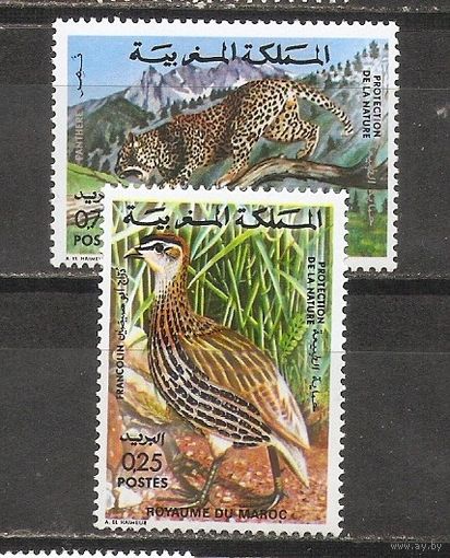 ФФ1 Марокко 1974 Фауна