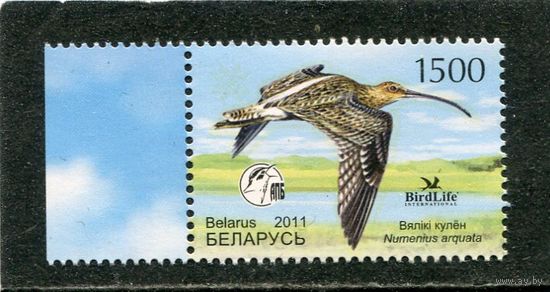 Беларусь 2011. Птица года. Большой кроншнеп