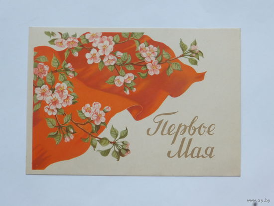 Сазонова 1 мая 1959 10х15 см
