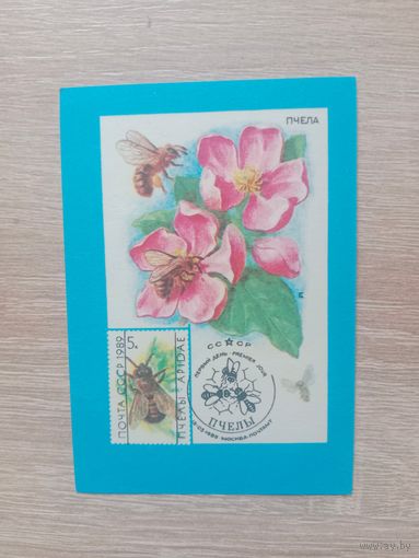 Календарик 1991