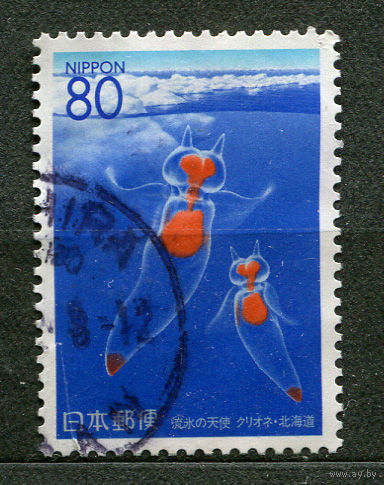 Морская фауна. Префектура Хоккайдо. Япония. 1996