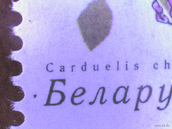 Стандарт 2006. 500 р. Ошибка печати (_287)