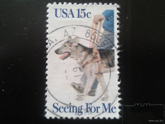 США 1979 собака
