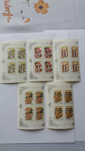 Ссср 1986 5 кв/бл. грибы