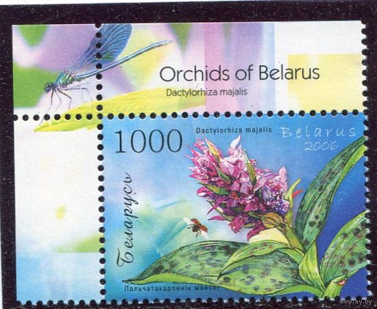Беларусь 2006. Цветы. Орхидеи
