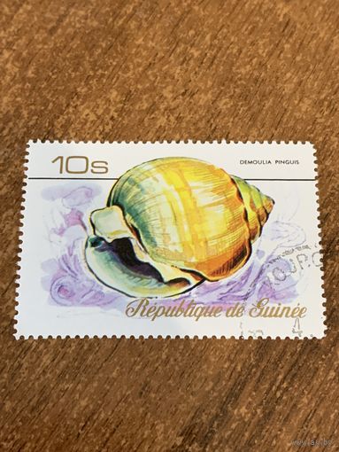 Гвинея 1977. Ракушки. Demoulia Pinguis. Марка из серии