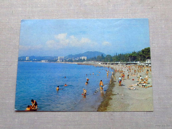 С018-5697 Открытка Грузия Абхазия Сухуми Городской Фото Богданов 1983 Подписана