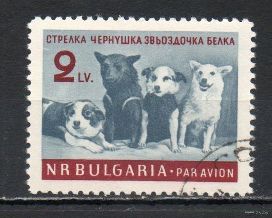 Пятилетний план - досрочно! Болгария 1961 год серия из 1 марки