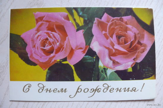 Гусейн-заде Г.(фото), С днем рождения! 1977, двойная, подписана.
