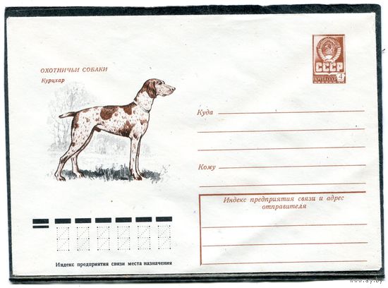 СССР 1978. ХМК. Конверт. Охотничьи собаки. Курцхар