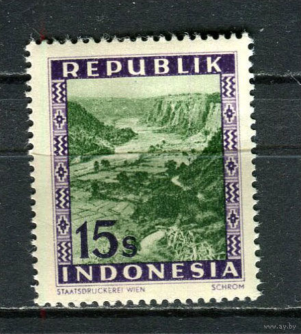 Индонезия (Локальные выпуски) - 1948 - Каньон Буффало 15S - [Mi.60] - 1 марка. MNH, MLH.  (Лот 51FQ)-T25P8