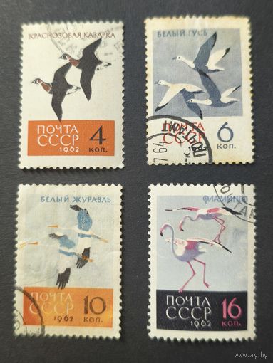 1962 СССР. Птицы