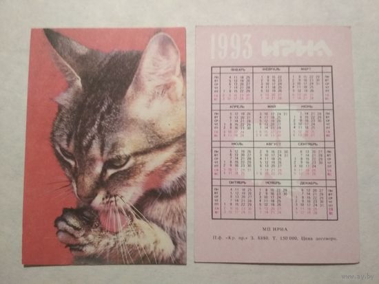 Карманный календарик. Котик.1993 год