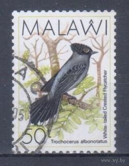 [1219] Малави 1988. Фауна.Птицы. Гашеная марка. 4