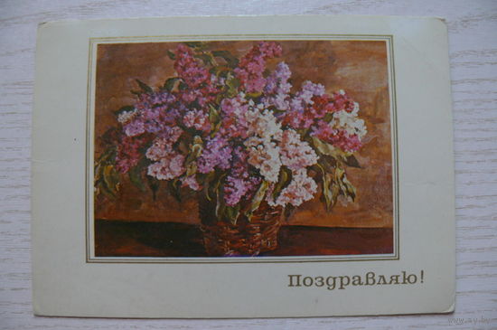 Кончаловский П., Поздравляю! (Сирень в корзине); 1981, чистая.