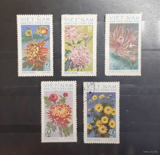 Вьетнам. Флора. Цветы (263)