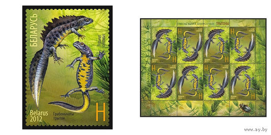 2012 БЕЛАРУСЬ марка или малый лист "Гребенчатый тритон" MNH