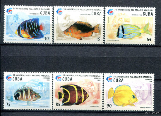 Куба - 1995г. - Рыбки. 25 лет национальному аквариуму - полная серия, MNH [Mi 3811-3816] - 6 марок