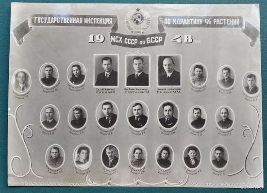 Лот фотографий сотрудников Государственной инспекции МСХ СССР по БСССР по карантину с/х растений 1948 г и 1950-е. 3 фото Цена за все.