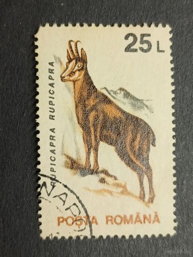 Румыния 1993. Животные. Серна