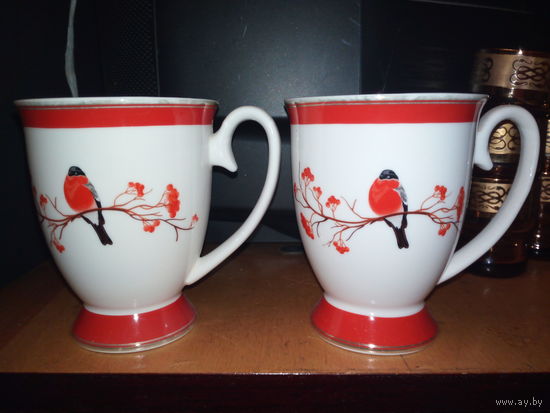 Кружки "СНЕГИРИ"