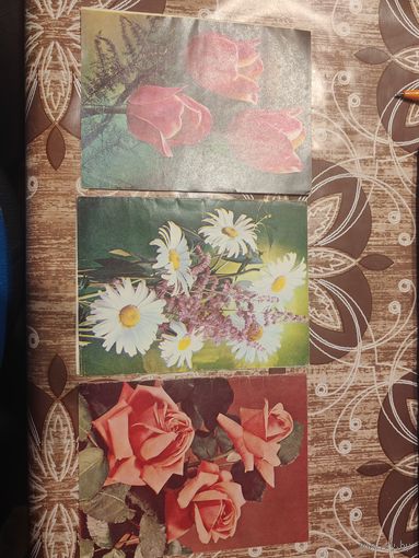 Телеграмму,подписаны