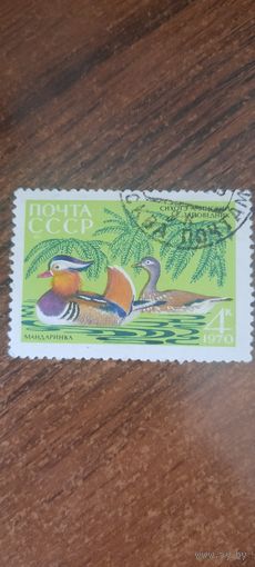 СССР 1970. Мандаринка. Марка из серии