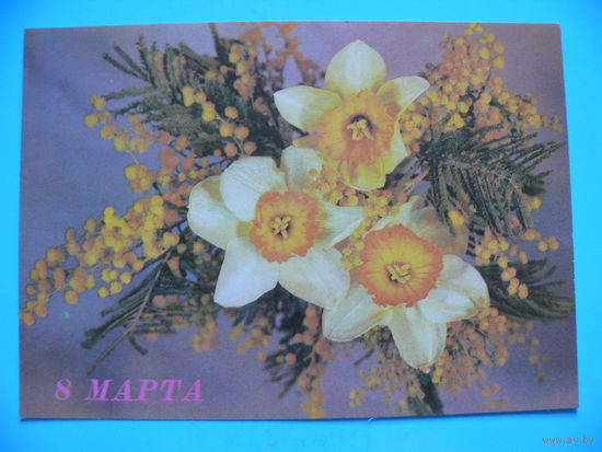 Дергилев И., 8 Марта, 1989, чистая.