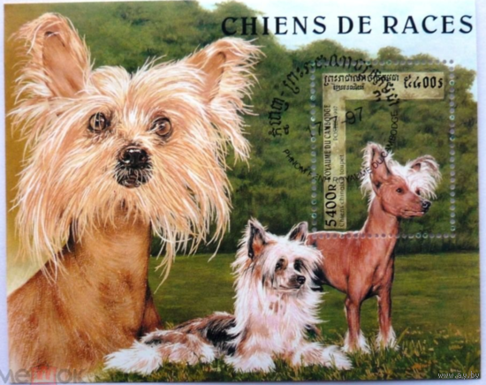 Камбоджа. 1997 год. Фауна. Собаки. Блок
