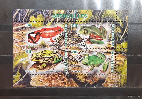 Чад. 2011 год. Фауна. Земноводные. Лягушки (1107)