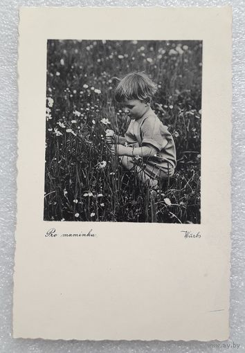 Девочка в ромашках. Чехия. 1948 год.